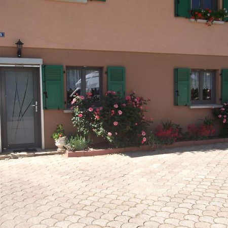 Gite Les Rosiers Traubach-le-Bas Экстерьер фото